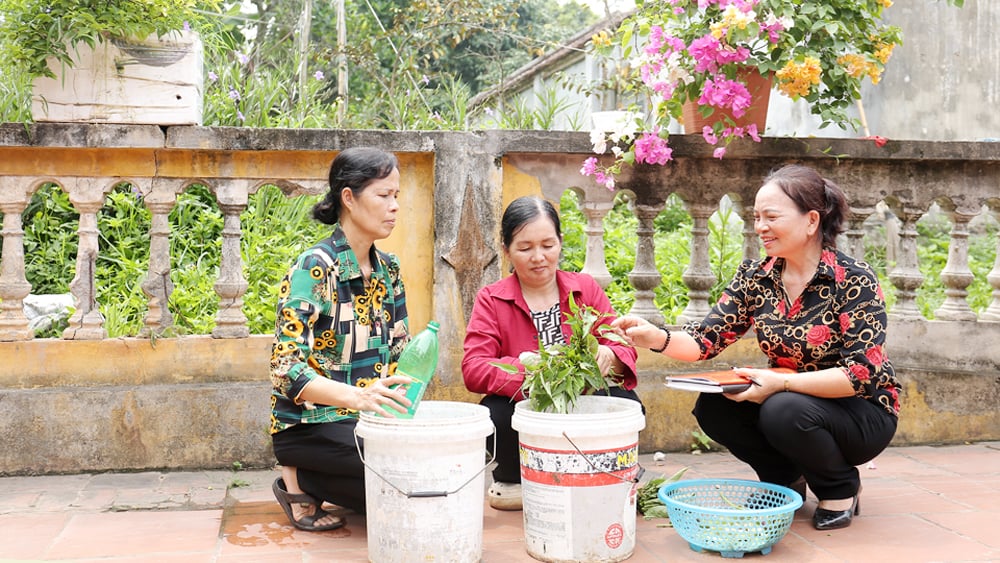 tin tức bắc giang, tỉnh bắc giang, Nâng chất lượng, tiêu chí nông thôn mới, Chi hội phụ nữ, chuyển giao khoa học kỹ thuật, tín chấp cho vay vốn, hỗ trợ về sinh kế, xây dựng nhà ở,