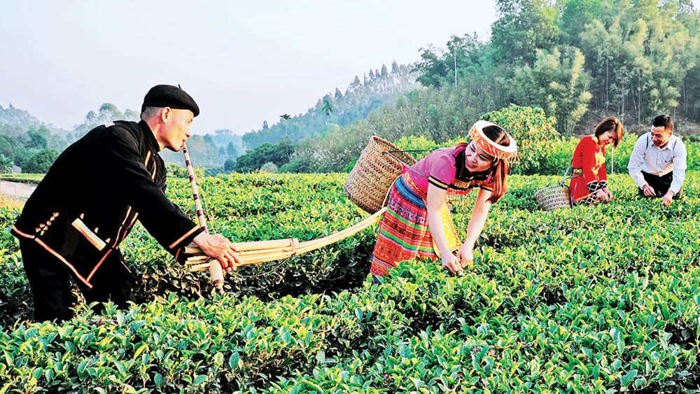 tin tức bắc giang, bắc giang, Quê ta thơm ngát,  Du lịch sinh thái, văn hóa Bản Ven, xây dựng mô hình thôn thông minh,  đồi chè, đồi hoa, bốn mùa, đời sống vật chất, tinh thần, sản phẩm OCOP