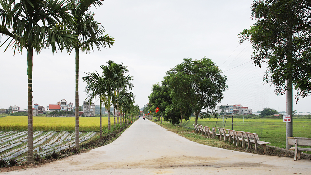 tin tức bắc giang, bắc giang, Tập trung, triển khai, nhiệm vụ, xây dựng nông thôn mới, năm 2024,  chính sách hỗ trợ