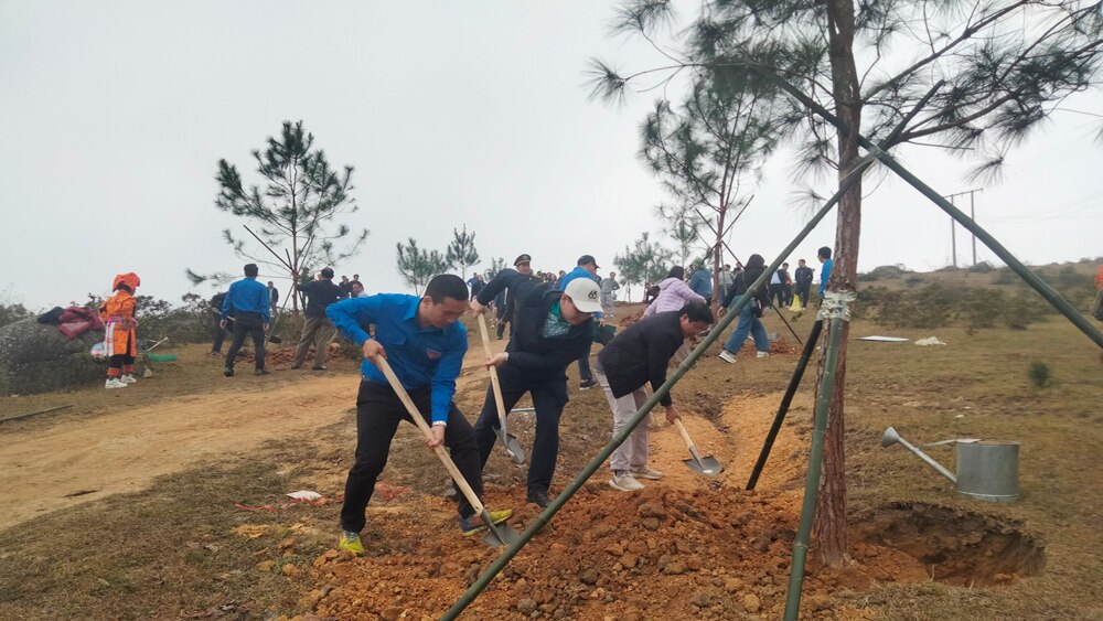 tết trồng cây, bắc giang, Kiểm lâm, cây xanh, trồng rừng, cây phân tán,