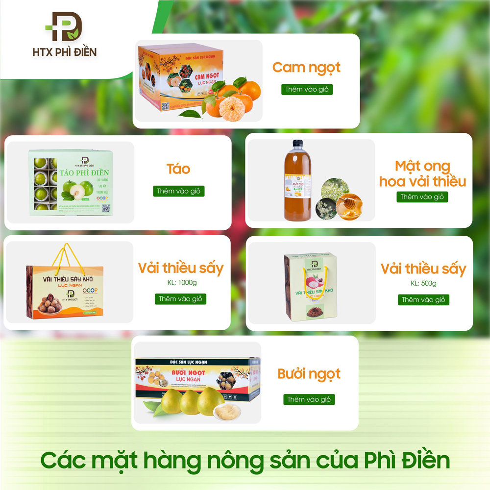 tin tức bắc giang, tỉnh bắc giang, Ứng dụng, thương mại điện tử, Nông sản rộng đầu ra, hợp tác xã, nông sản đặc trưng,doanh nghiệp