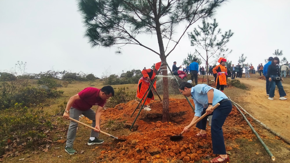 Trồng rừng, Bắc Giang, kiểm lâm, cây giống, lâm nghiệp, cây phân tán, tết trồng cây