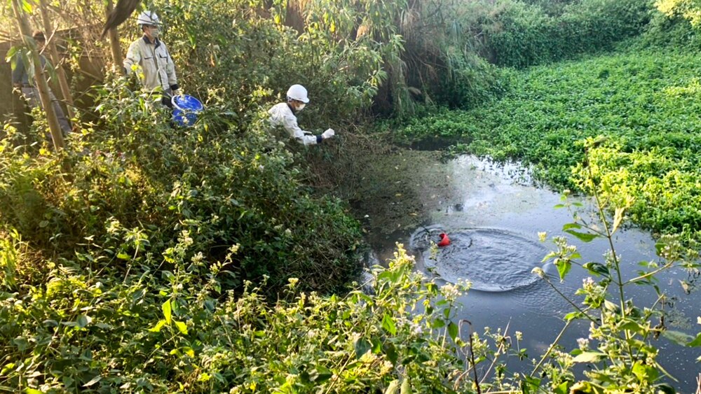 tin tức bắc giang, tỉnh bắc giang,  bảo vệ môi trường, Tích cực quan trắc, ngăn ngừa ô nhiễm môi trường, chỉ số xanh cấp tỉnh, công nghiệp hóa, đô thị hóa