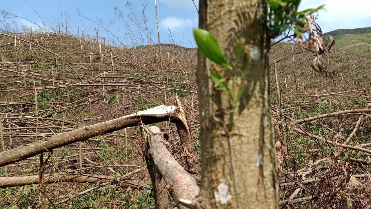 Những vùng dậy sóng đã thành điểm sáng và bài học xây dựng thế trận lòng dân - Ảnh 1.