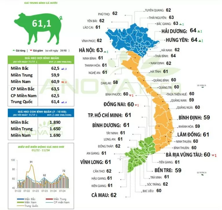 Giá heo hơi hôm nay 2/11/2024: