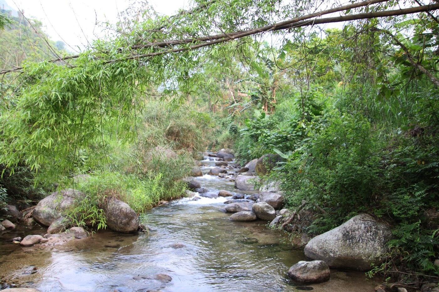 Đồng chí Bí thư Tỉnh ủy Hoàng Duy Chinh khảo sát tiềm năng phát triển du lịch tại xã Đồng Phúc ảnh 4