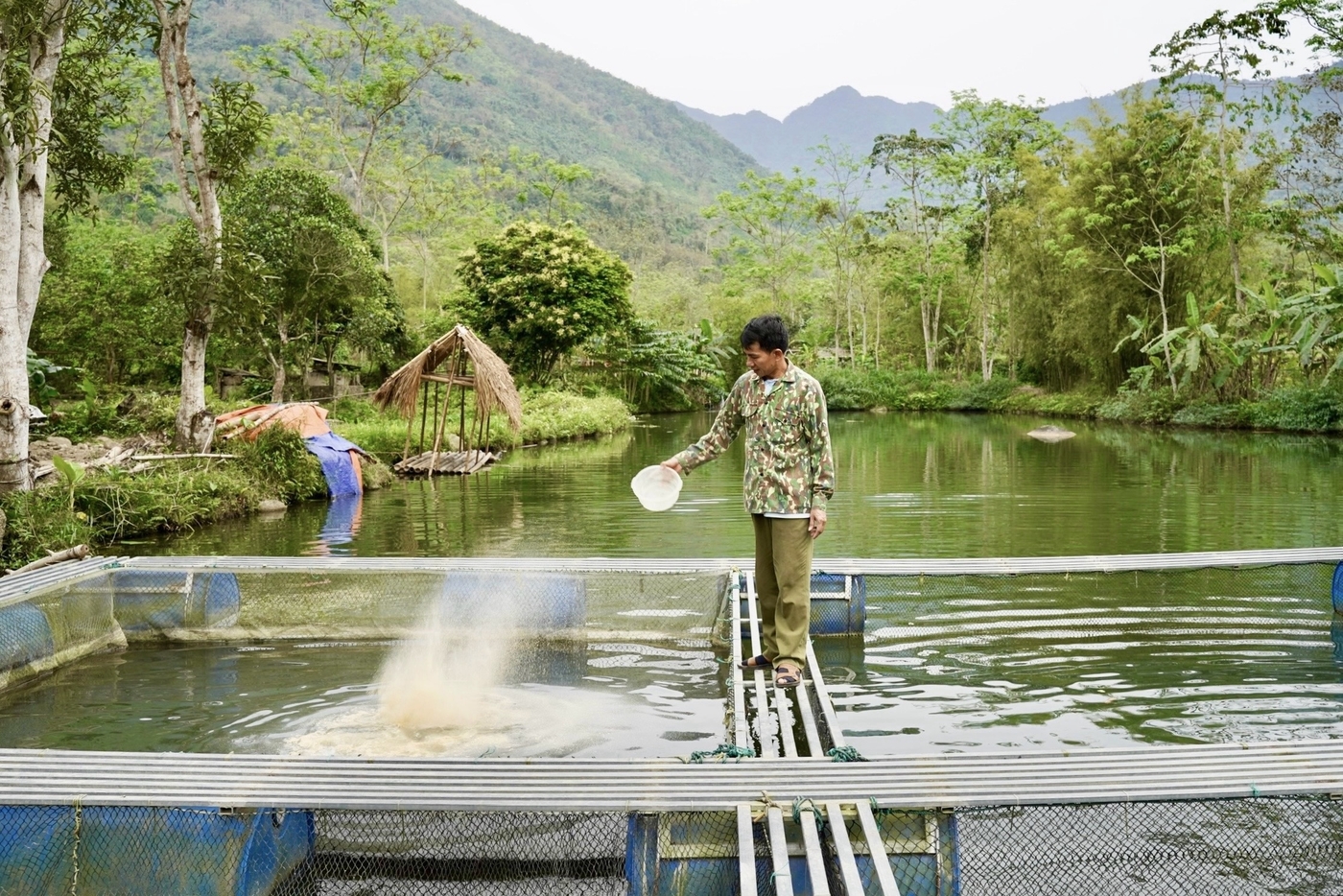 Một góc trang trại nuôi cá của ông Hoàng Văn Tâm.