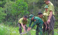 Thả trăn gấm quý hiếm về tự nhiên