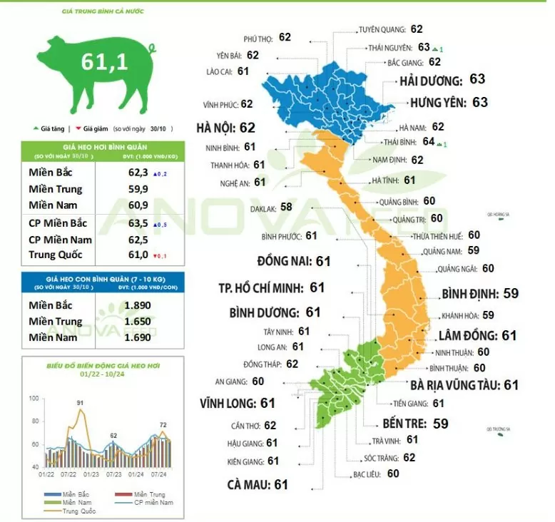 Giá heo hơi hôm nay 1/11/2024: