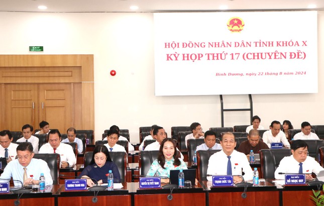 Bình Dương thống nhất dùng ngân sách hỗ trợ học phí cho học sinh ảnh 1