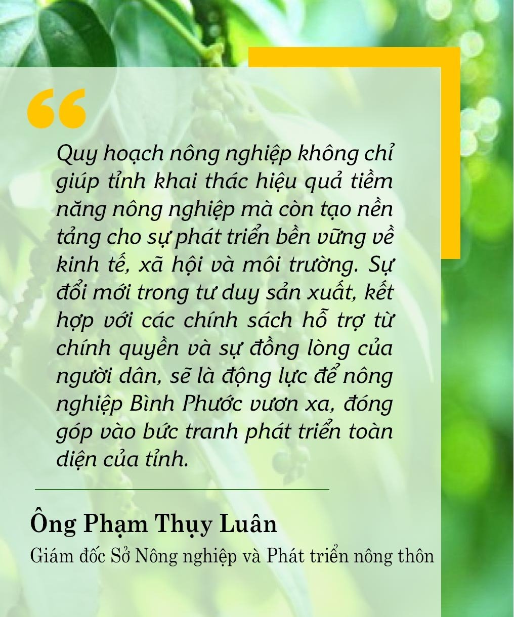 Mua nha truoc 30 tuoi o TP.HCM, Ha Noi, giac mo co xa voi? hinh anh 4 