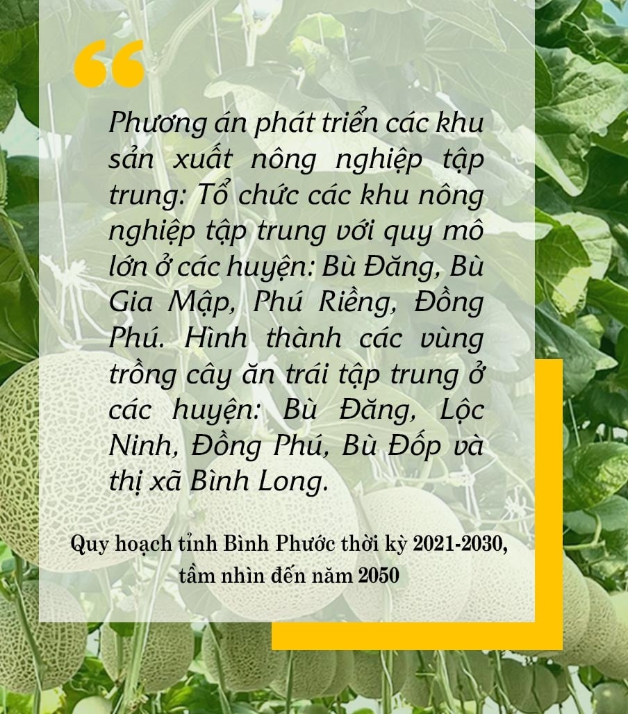 Mua nha truoc 30 tuoi o TP.HCM, Ha Noi, giac mo co xa voi? hinh anh 6 