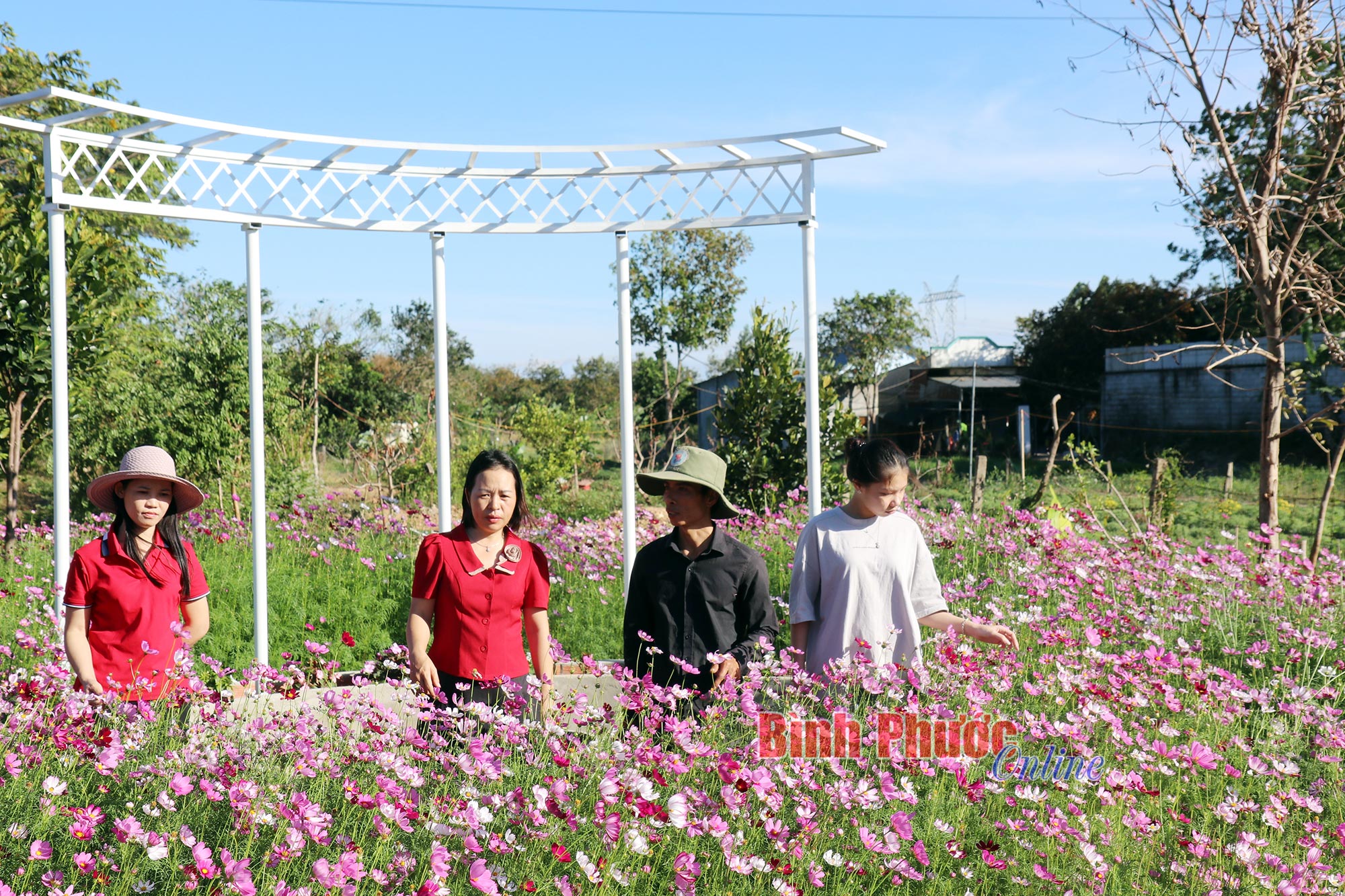 Điểm tô sắc xuân - Binh Phuoc, Tin tuc Binh Phuoc, Tin mới tỉnh Bình Phước