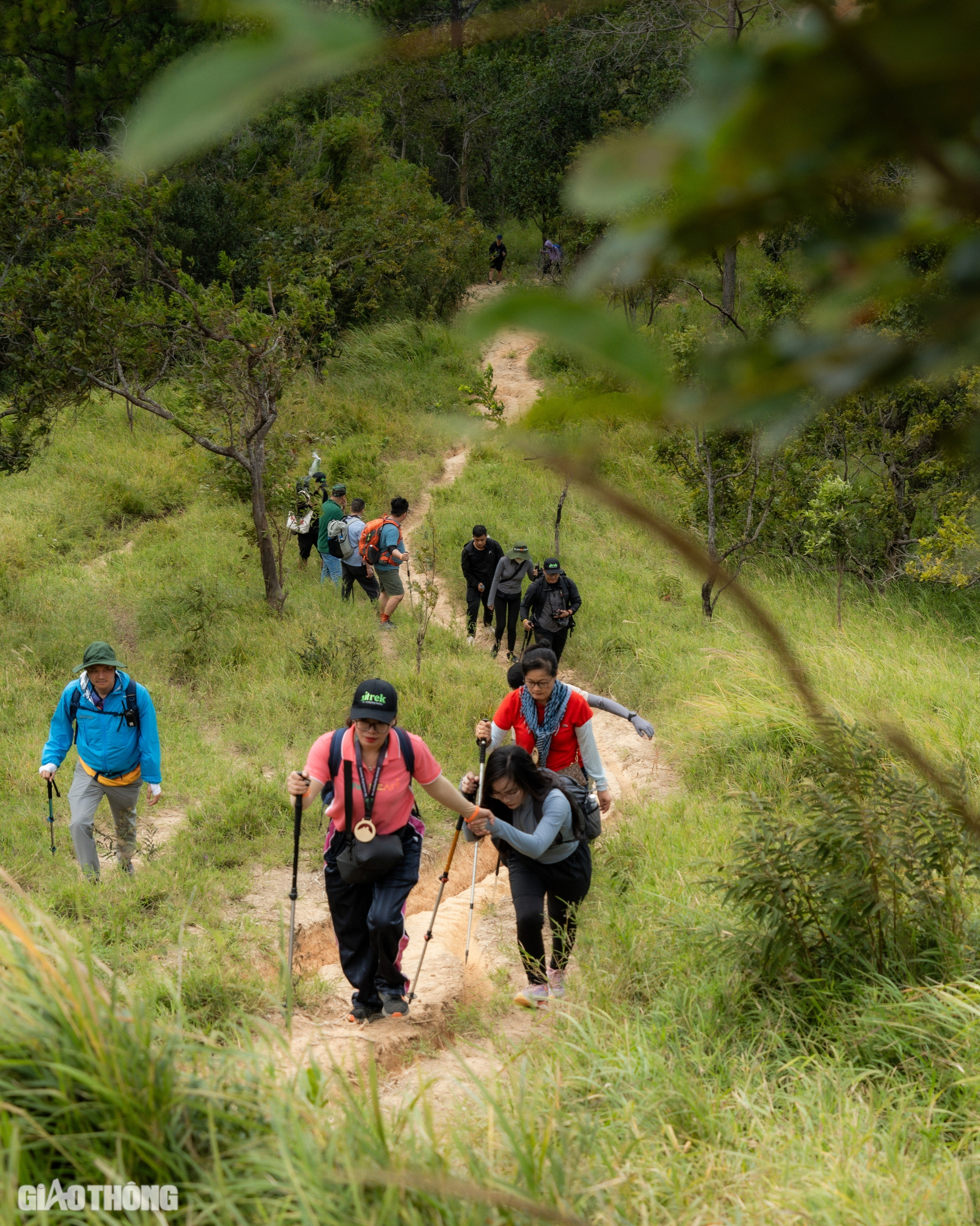 Trải nghiệm hai ngày không điện thoại, chinh phục cung đường trekking đẹp nhất Việt Nam- Ảnh 14.