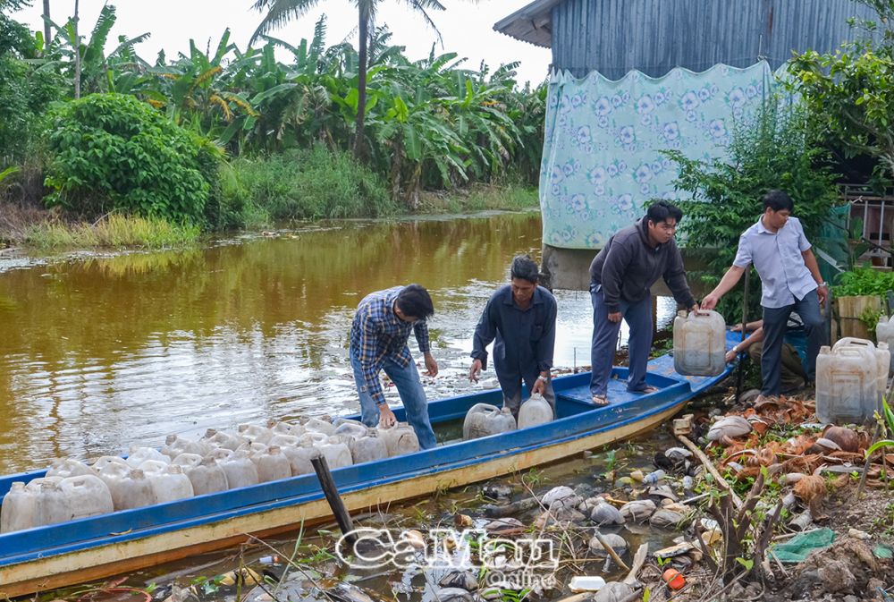 Các hộ dân vận chuyển cá giống về thả nuôi.