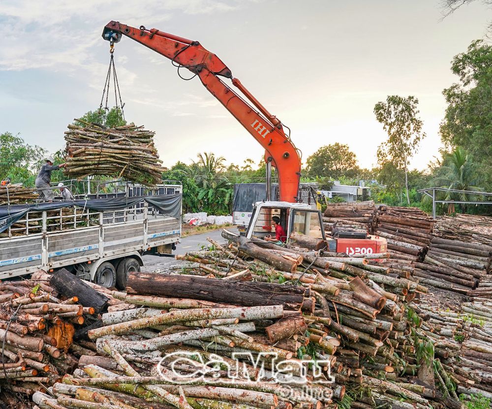 Có đường ô tô đi qua, ấp Cơi 6B thêm điều kiện giao thương hàng hoá, giúp kinh tế địa phương phát triển.