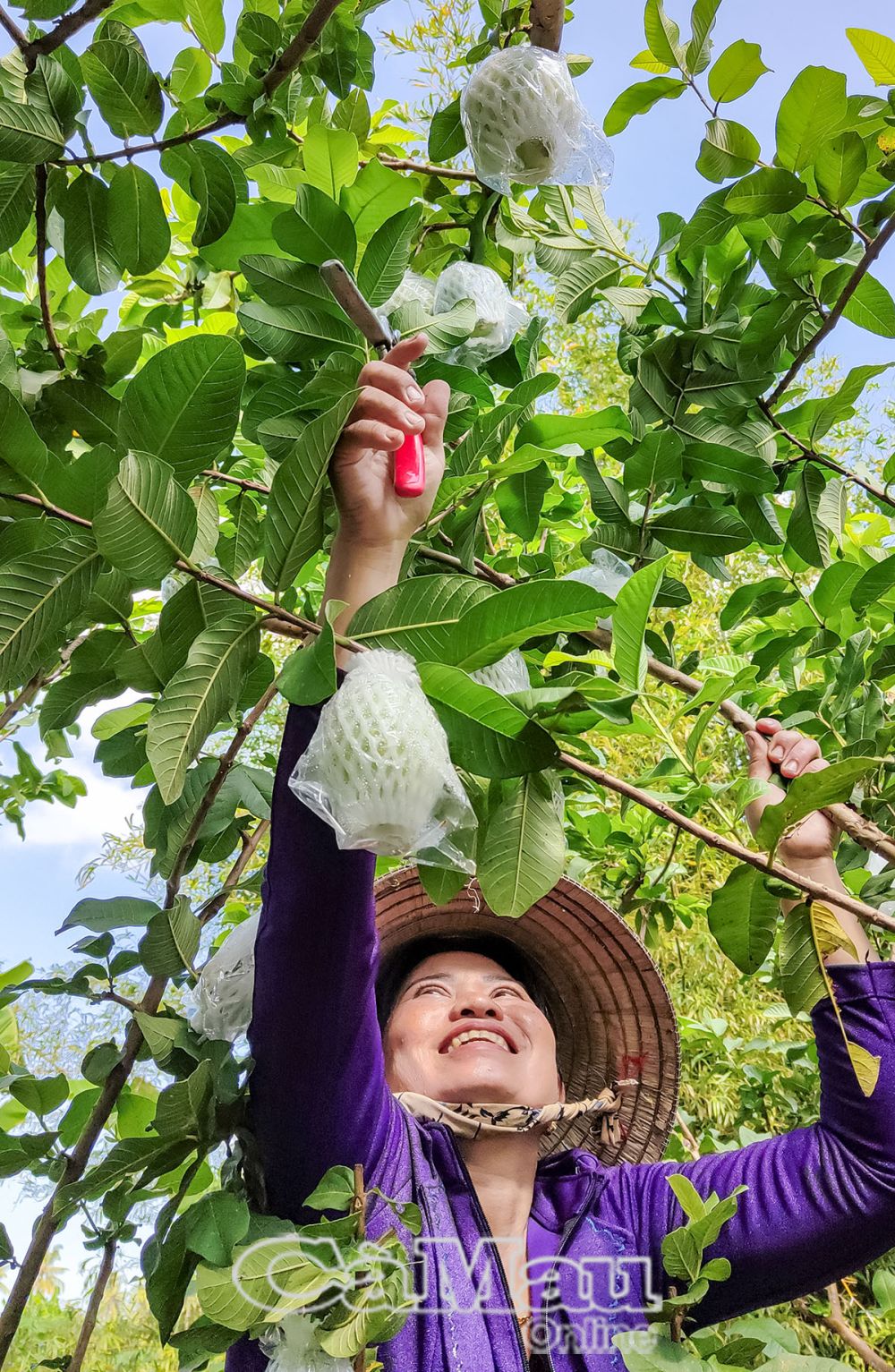 3.Xã Khánh Lộc (huyện Trần Văn Thời) là 1 trong những địa phương có thành tích trong công tác này với nhiều mô hình hay cần nhân rộng.