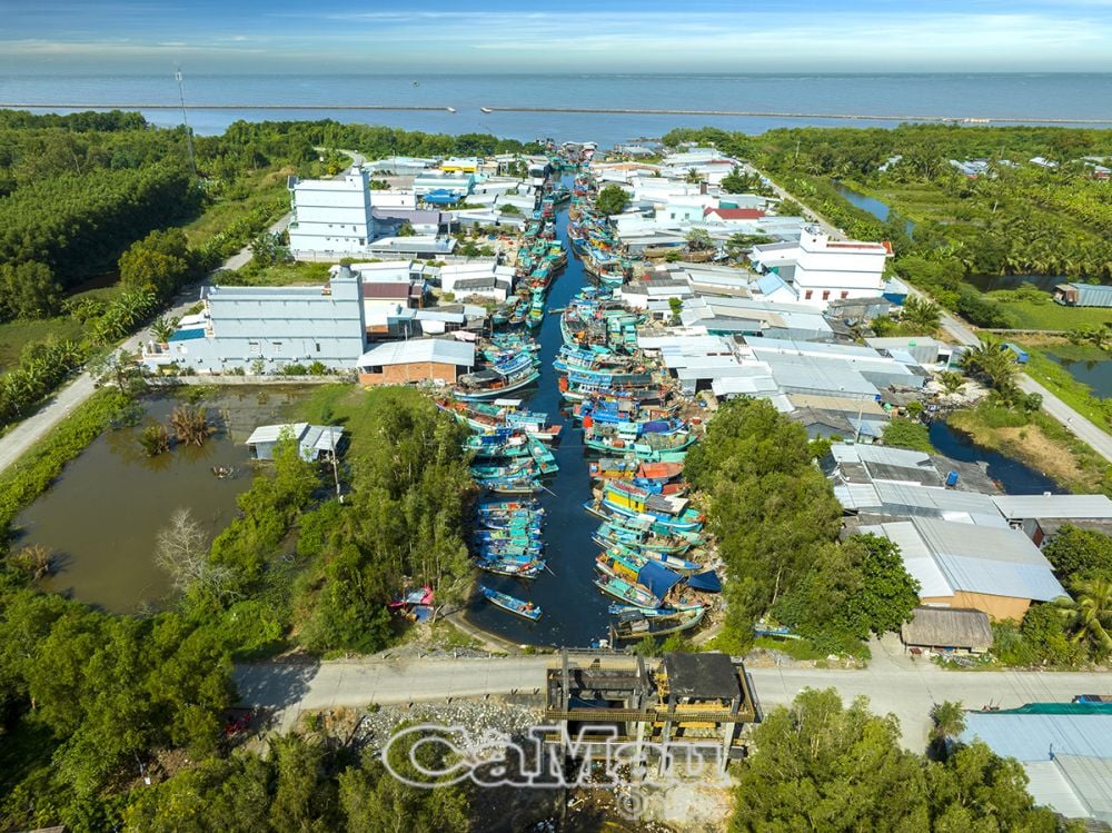 Cửa biển Ba Tỉnh, xã Khánh Bình Tây Bắc, huyện Trần Văn Thời với hàng trăm tàu đánh cá về bến neo đậu, làm cho phố biển thêm đông vui, nhộn nhịp hơn.