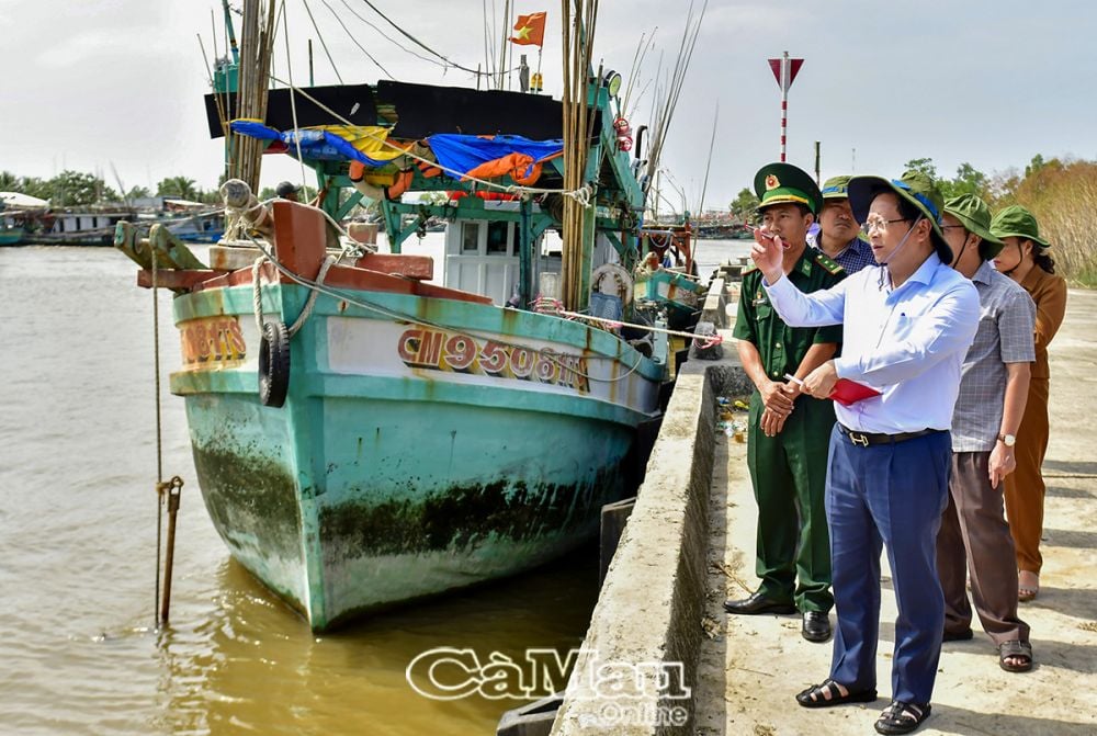 Phó bí thư Thường trực Tỉnh uỷ Nguyễn Đức Hiển khảo sát Bến cá Khánh Hội.