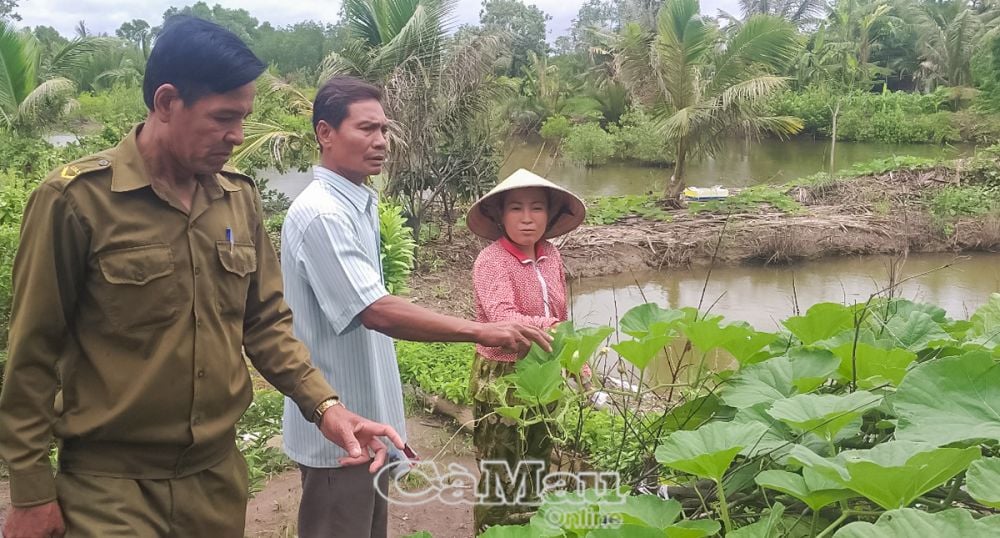 Ông Kim Phách (giữa), người có uy tín ấp Ðồng Tâm A, xã Tân Duyệt, tìm hiểu mô hình sản xuất của đồng bào dân tộc.