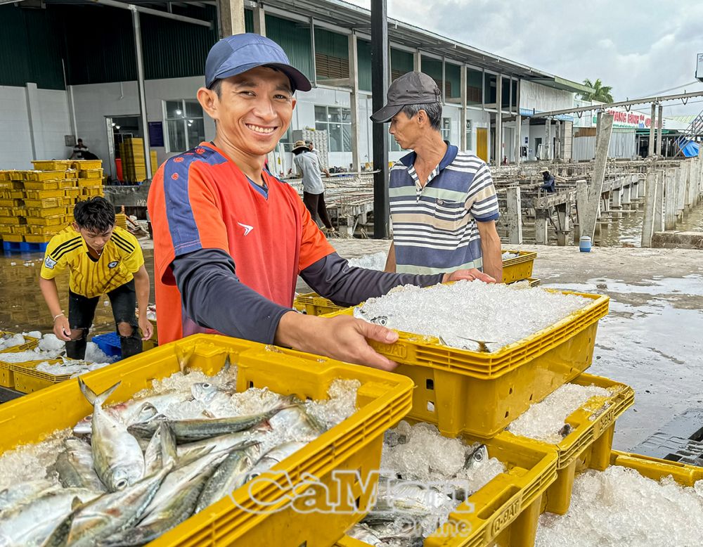 Dù đối mặt với tình hình kinh tế biến động, nhiều thuận lợi, thách thức đan xen, nhưng đến thời điểm này ngành thuế tỉnh đã về đích thu ngân sách, sẽ vượt dự toán được giao.