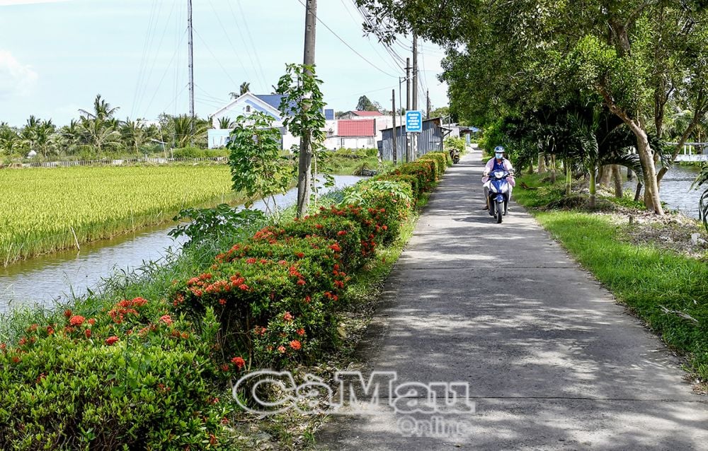 Nông thôn xã An Xuyên. Ảnh MỘNG THƯỜNG 