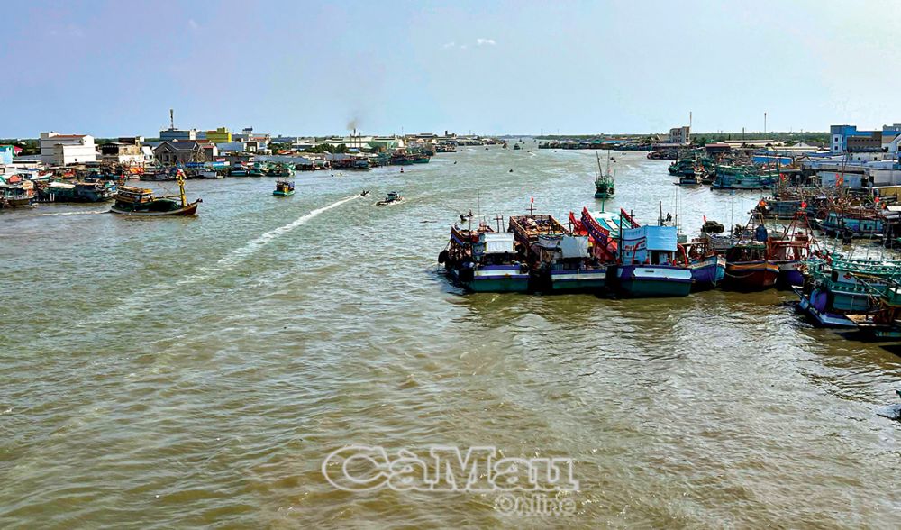 Cửa biển Sông Ðốc có đội tàu khai thác lớn nhất tỉnh Cà Mau. 