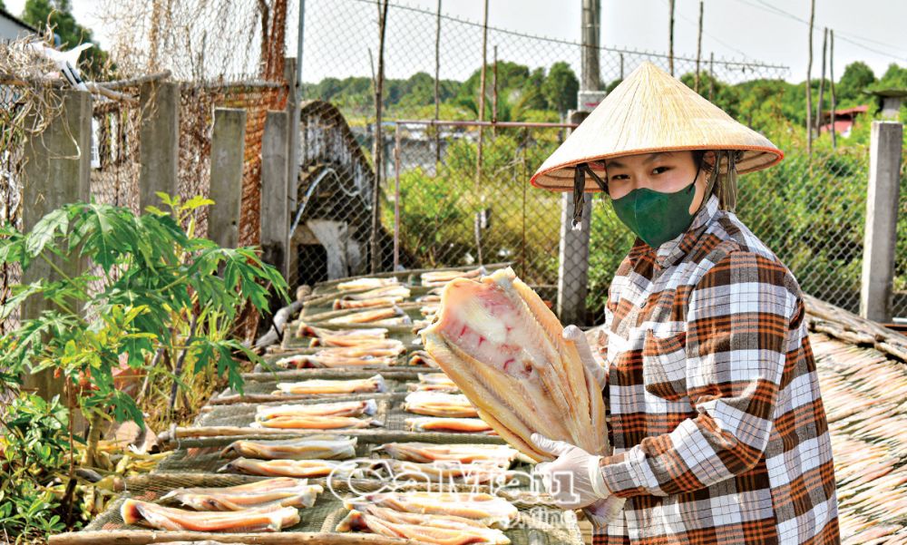 Nghề làm khô cá biển ở thị trấn Cái Ðôi Vàm tạo việc làm cho người dân địa phương.