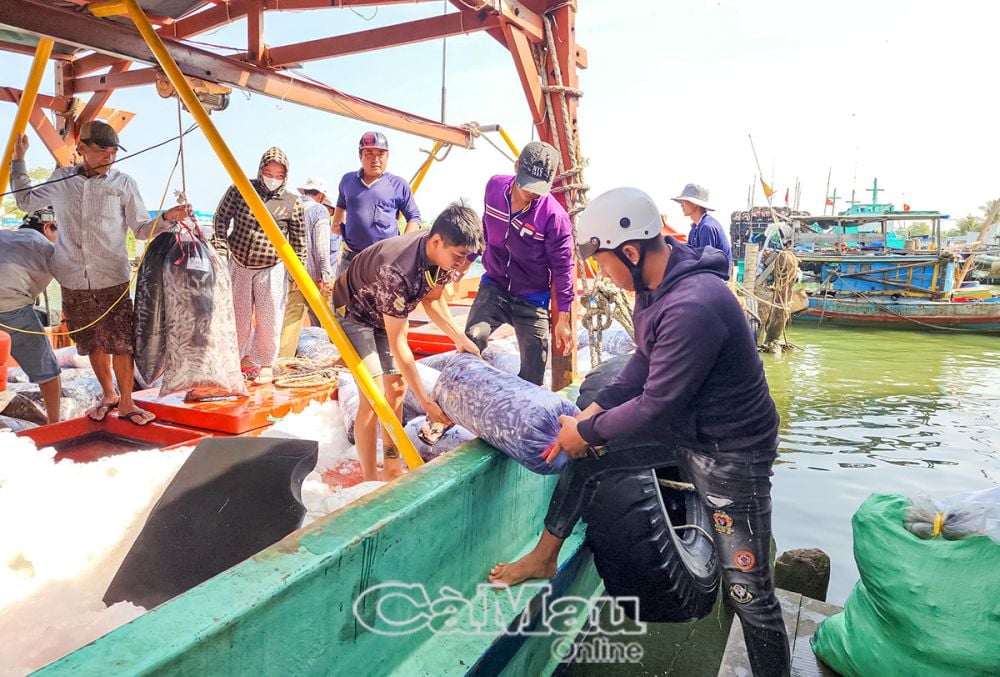 Từ niềm vui sau chuyến biển đầy ắp cá tôm, ngư dân có thêm động lực để vươn khơi, bám biển.