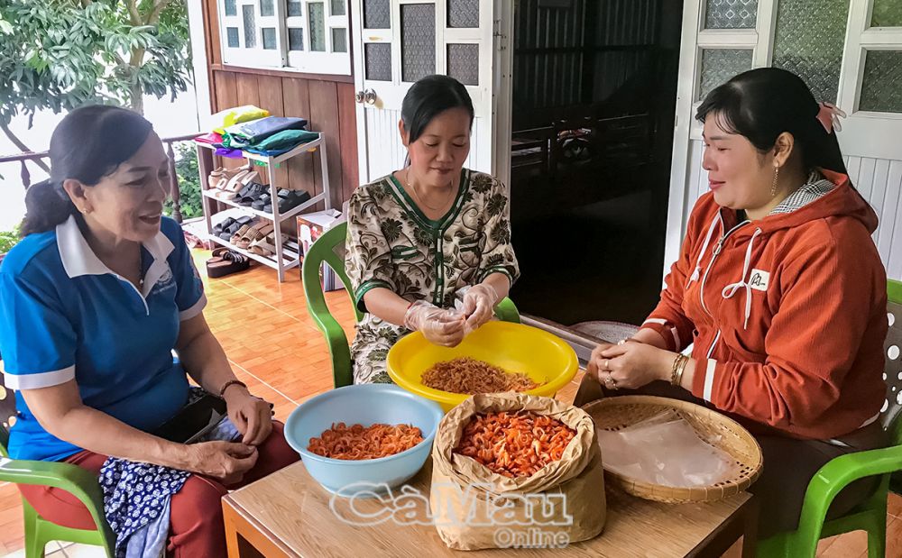 THT Tôm khô sạch - mắm tôm - khô bổi giúp các thành viên liên kết để tiêu thụ sản phẩm, trao đổi kinh nghiệm, mang lại chất lượng sản phẩm tốt nhất.