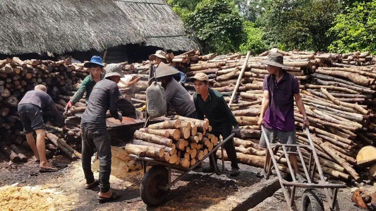 Sống nhờ than