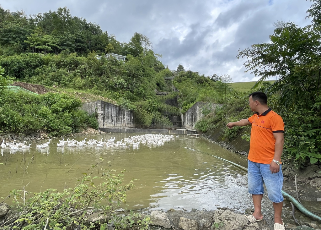 Mô hình nuôi vịt siêu trứng của hội viên nông dân Đàm Văn Chất, xóm Bản Viết, xã Phong Châu (Trùng Khánh).