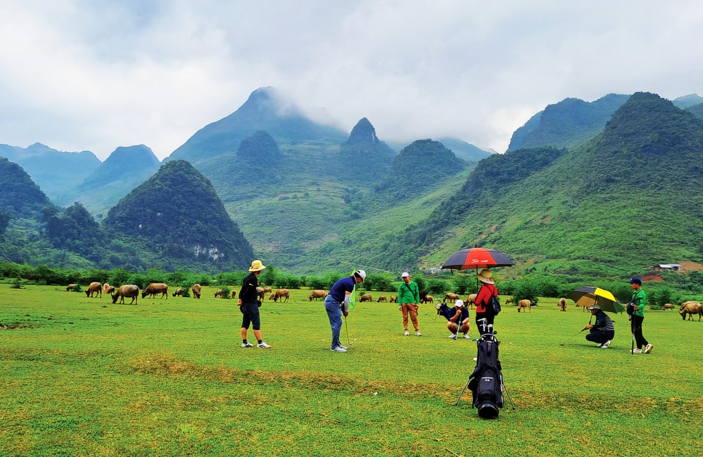 Bãi tình ngày càng trở thành điểm đến được nhiều bạn trẻ yêu thích vì cảnh quan trong lành, xanh mát.