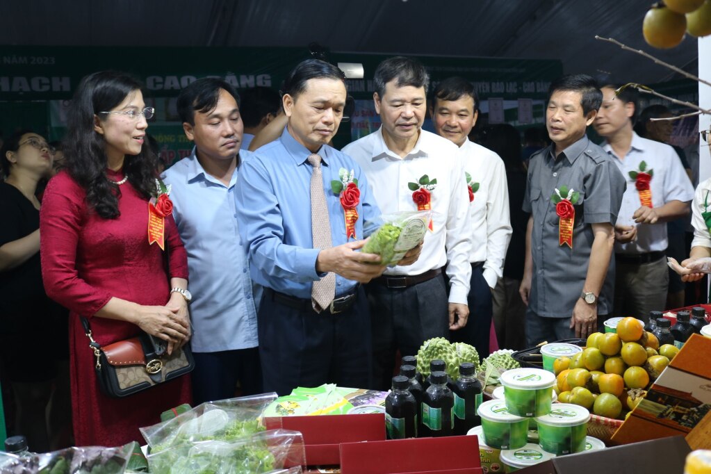 Lãnh đạo tỉnh thăm quan các gian hàng trưng bày tại hội chợ