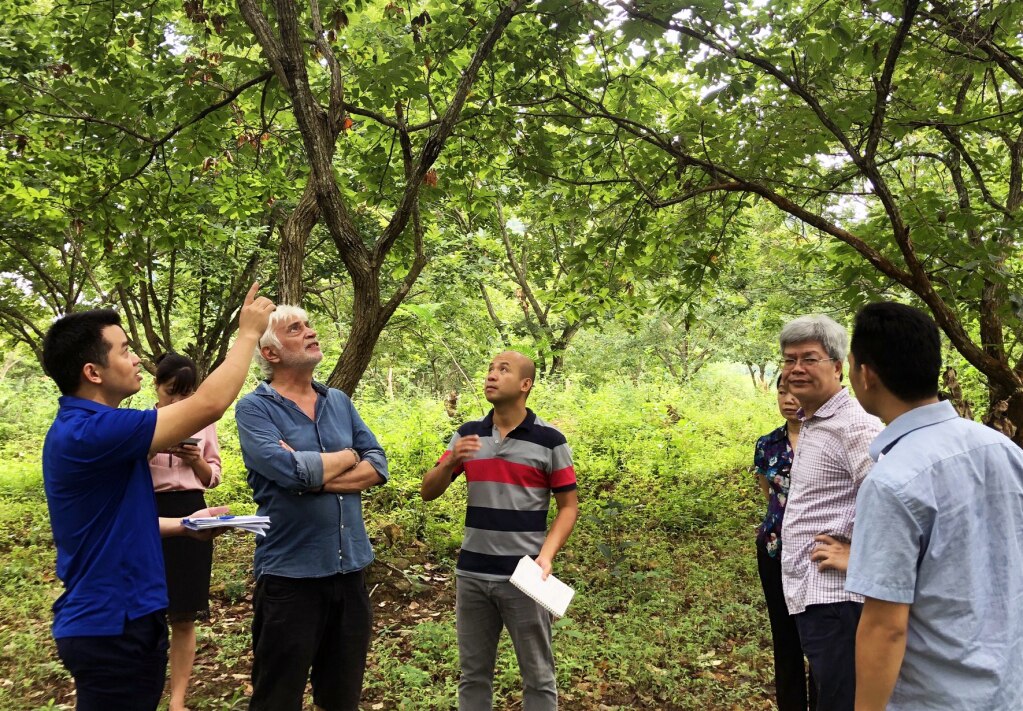 Chuyên gia Mạng lưới Công viên địa chất Toàn cầu UNESCO đến tham quan, hướng dẫn huyện Trùng Khánh chọn vườn dẻ có cảnh đẹp làm điểm du lịch trải nghiệm.