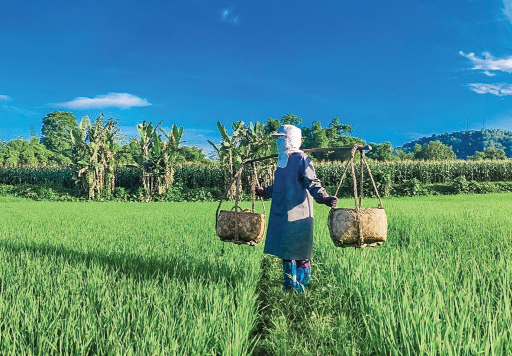 Nhiều dụng cụ lao động truyền thống vẫn được người Tày, Nùng sử dụng trong lao động sản xuất.