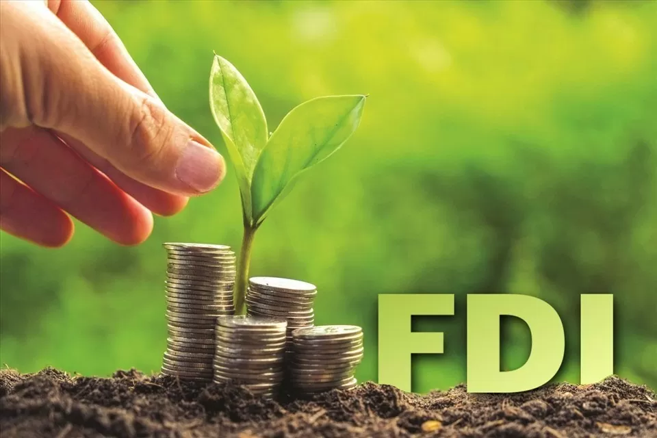 Dòng vốn FDI xanh vào Việt Nam đang ngày càng tăng. (Nguồn: Báo Lao động)