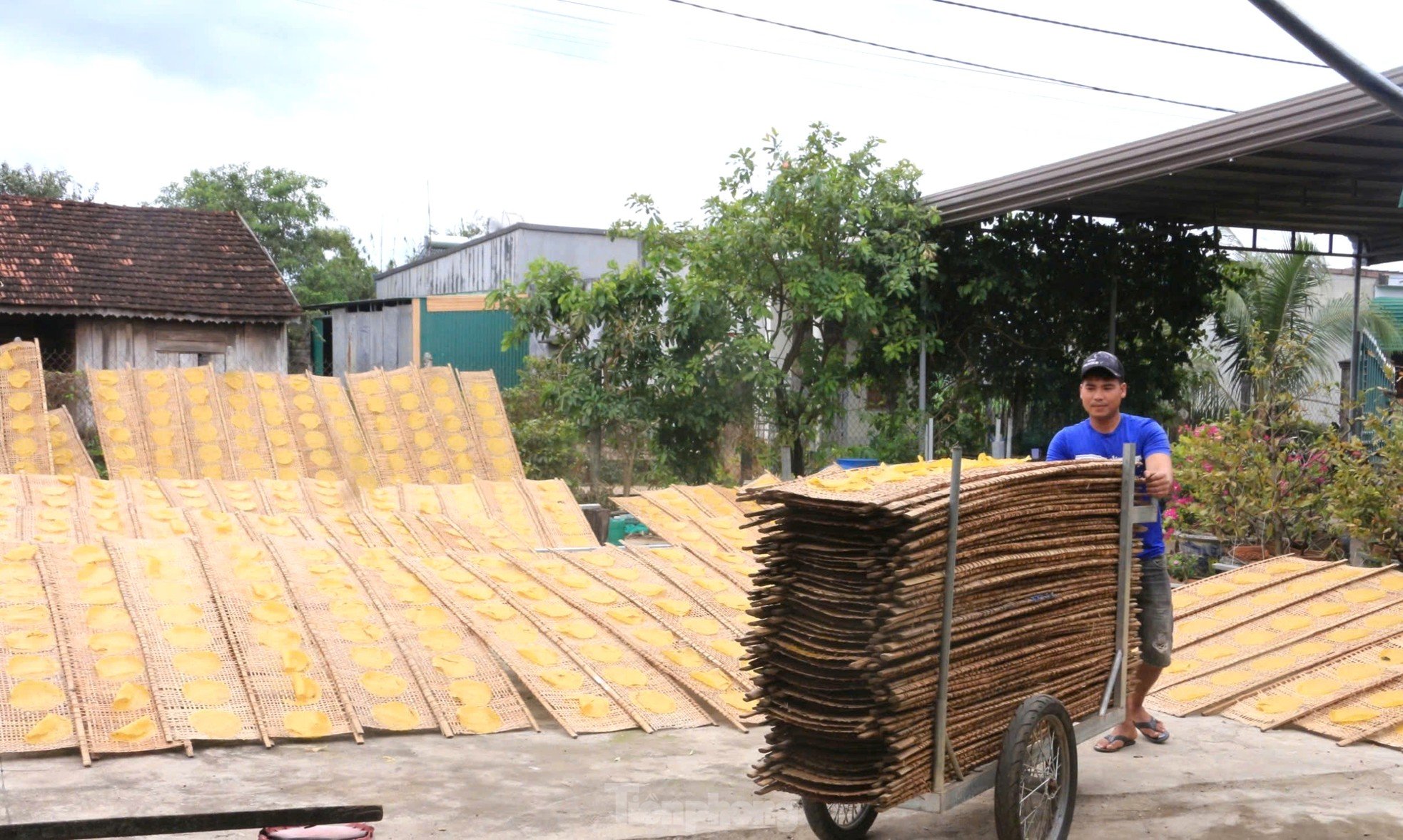 Làng nghề bánh tráng ở Đắk Lắk tất bật chạy đua với Tết ảnh 6