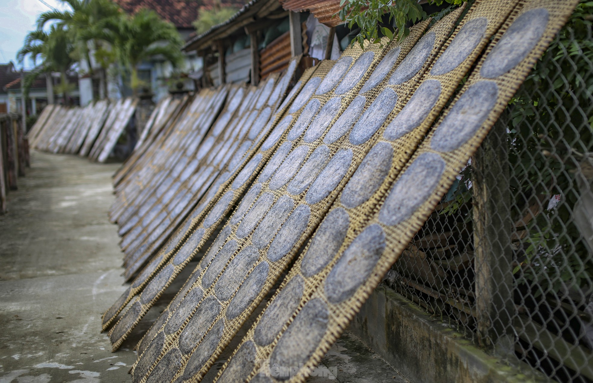 Làng bánh tráng nức tiếng Bình Định tranh thủ nắng ráo nổi lửa kịp phục vụ Tết ảnh 13