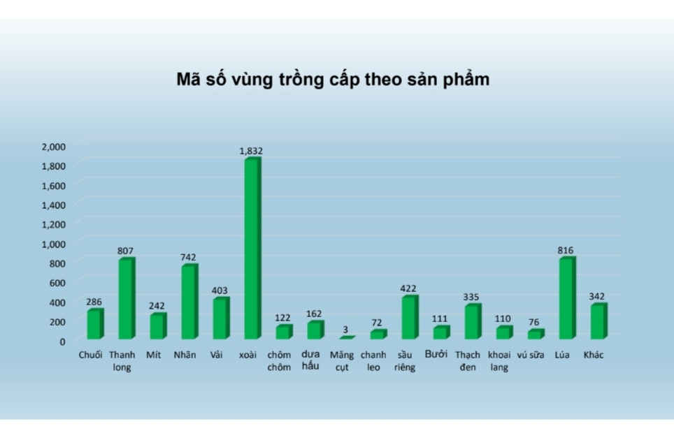 Diện tích sầu riêng tăng 