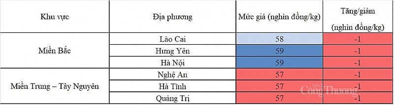 Giá heo hơi hôm nay ngày 26/8/2023: Dời mốc 60.000 đồng/kg