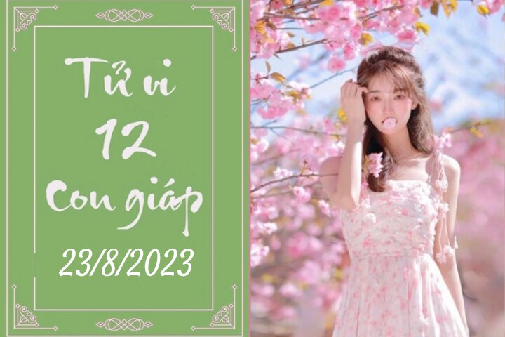 Tử vi vui 12 con giáp hôm nay ngày 23/8/2023: Mão thay đổi, Ngọ quyết liệt (Ảnh minh họa).