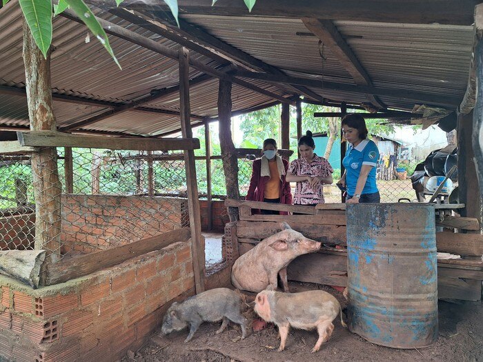 Phụ nữ dân tộc thiểu số Gia Lai tích cực thay đổi nếp nghĩ, cách làm vươn lên thoát nghèo bền vững - Ảnh 1.