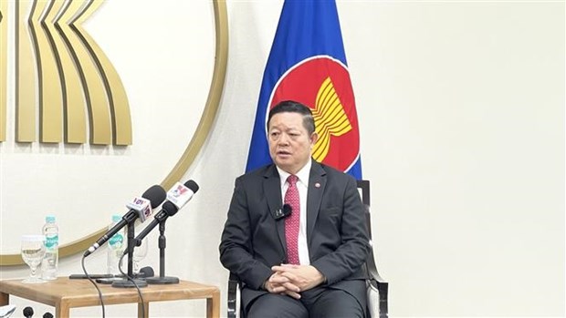 'Viet Nam co the chia se nhieu kinh nghiem quy bau cho cac nuoc ASEAN' hinh anh 1