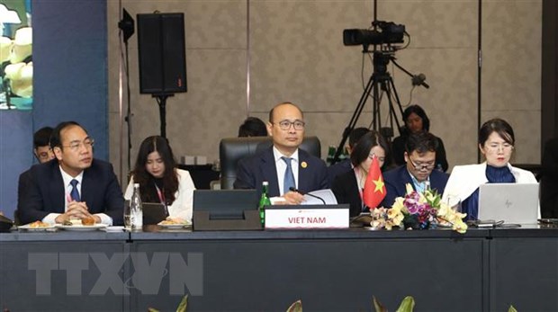 Viet Nam du Hoi nghi tham van Bo truong Kinh te ASEAN va cac doi tac hinh anh 1