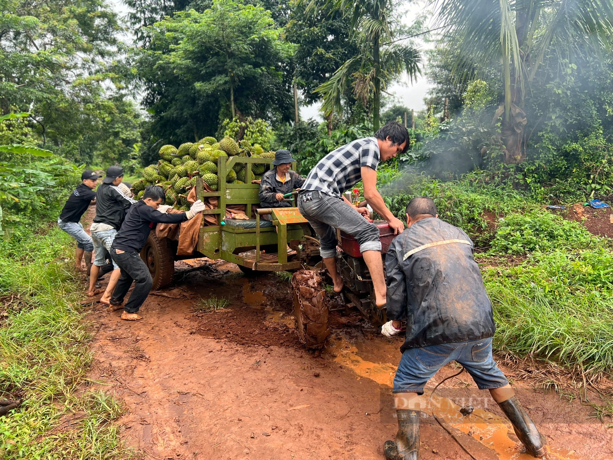 Mùa mưa bão, người dân 