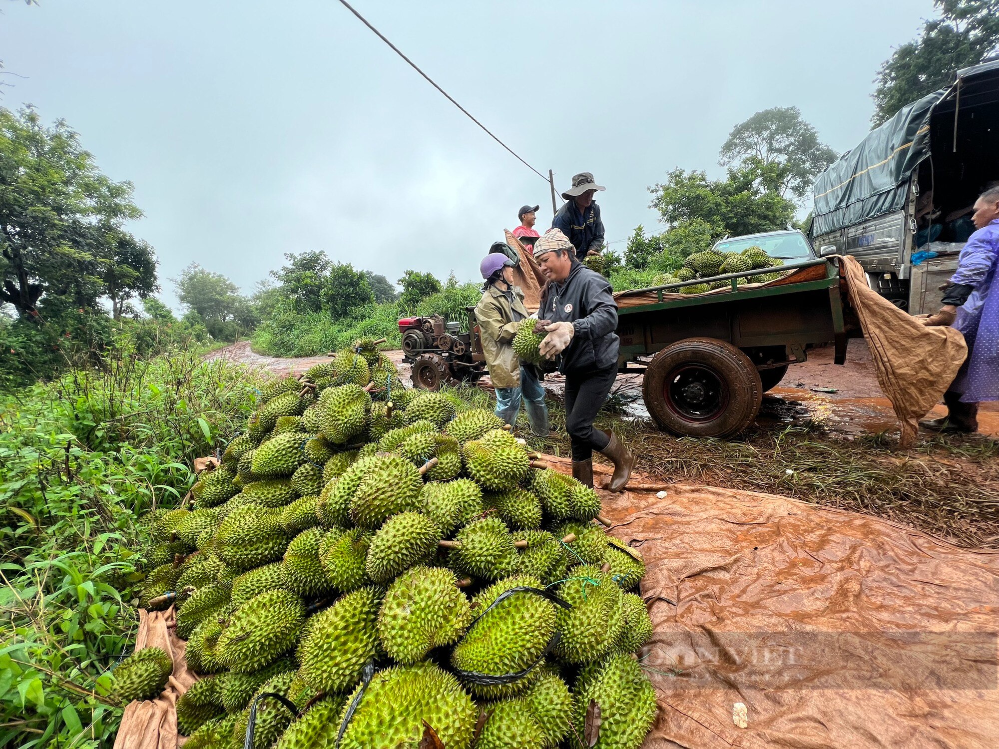 Mùa mưa bão, người dân 