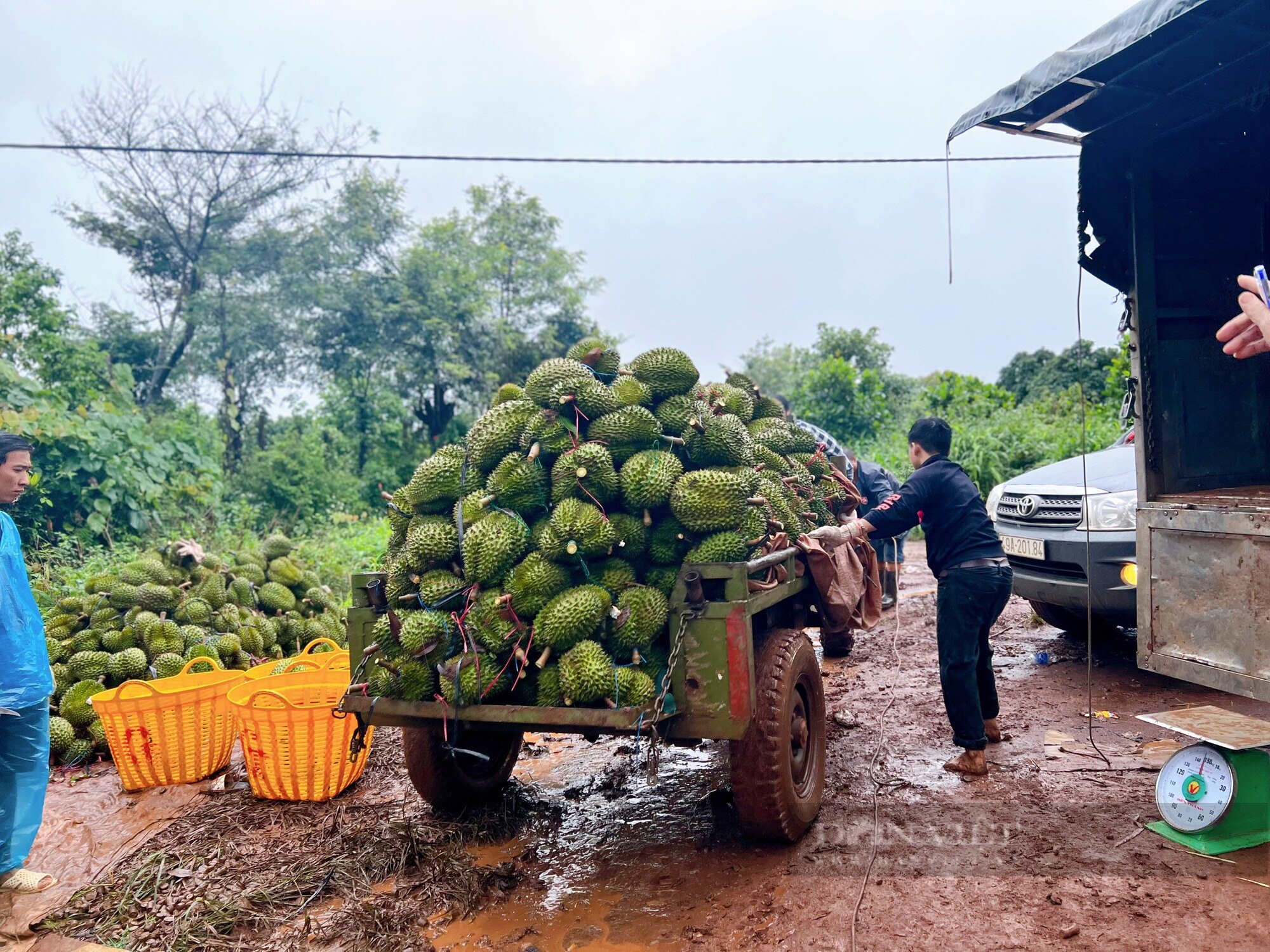 Mùa mưa bão, người dân 