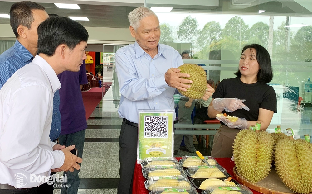 Chuyên gia hàng đầu về cây sầu riêng chia sẻ những gì về loại cây trồng đang 