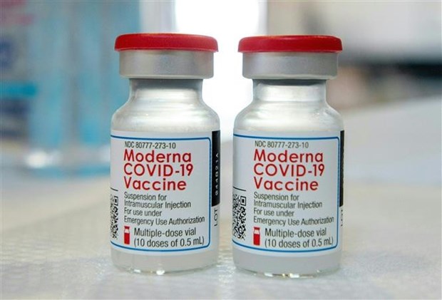 Han Quoc cap phep su dung khan cap vaccine cap nhat cua Moderna hinh anh 1